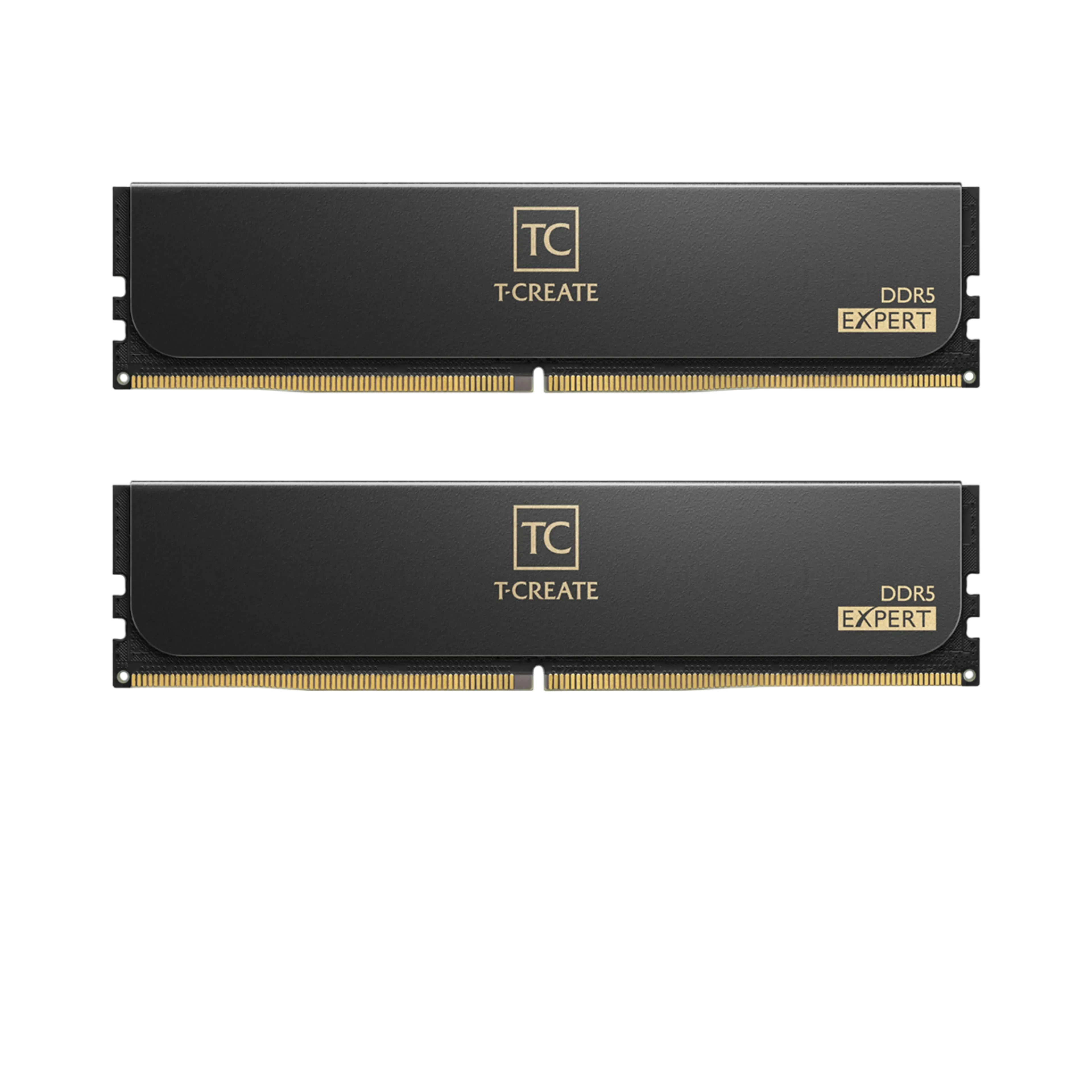 Оперативная память DDR5 64 Gb 6400 MHz Team Group T-CREATE Expert Black (CTCED564G6400HC34BDC01)