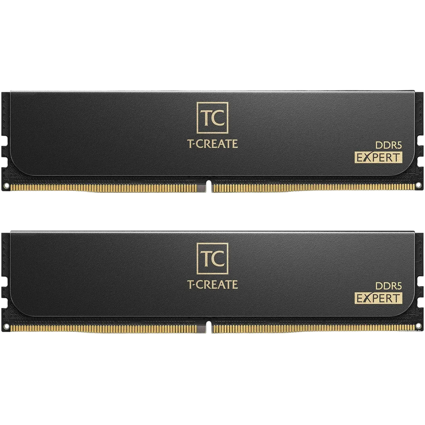 Оперативная память DDR5 32 Gb 6000 MHz Team Group T-CREATE Expert BK (CTCED532G6000HC38ADC01)