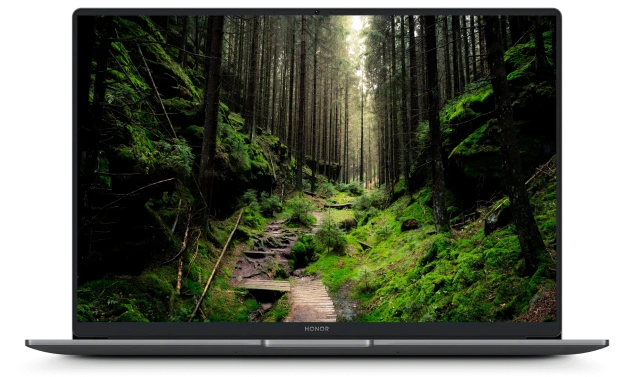 Ноутбук HONOR MagicBook X16 2024 BRN-H56 (Ryzen 5 7640HS/16"/1920x1200/16Gb/1Tb SSD/Radeon 760M/Win 11 H) Silver - фото