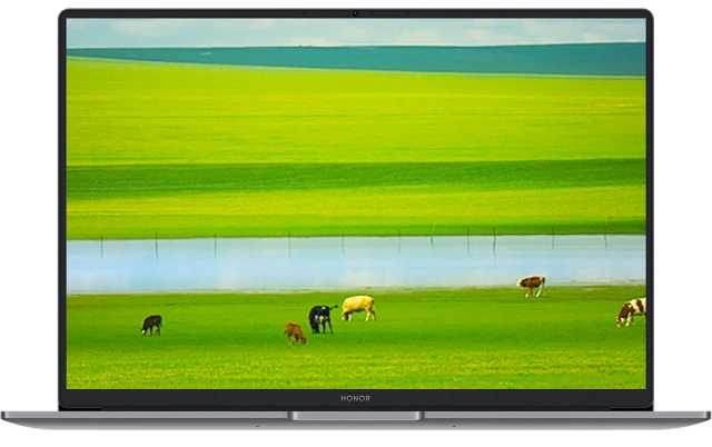 Ноутбук HONOR MagicBook X16 Plus 2025 (Intel Core 5 220H/16"/2560x1600/16Gb/1Tb SSD/Windows 11 Home) Серый 5301ALYM - фото