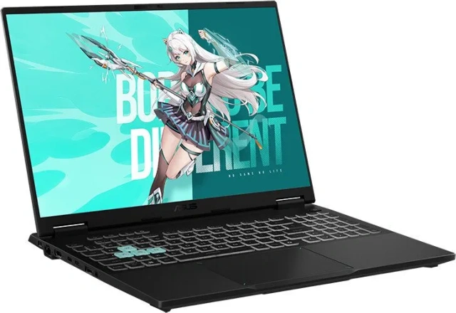 Ноутбук Asus TUF Gaming FA608PM (AMD Ryzen 9 8940HX/16" 2560x1600/32Gb/1Tb SSD/NVIDIA GeForce RTX 5060 8Gb/Win 11 Pro) Gray - фото