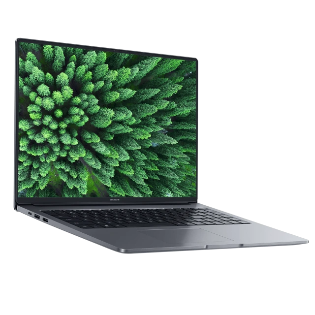 Ноутбук HONOR MagicBook X16 2025 (Core i7-13620H/16"/1920х1200/16Gb/1Tb SSD/Intel UHD Graphics/Win 11) 5301ALNC - фото