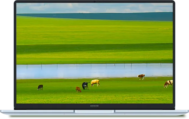 Ноутбук HONOR MagicBook X14 Plus (Core 5 220H/14"/2880x1800/32Gb/2Тб/Win 11 Home) Синий - фото